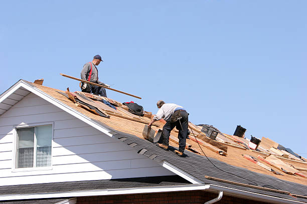 Best Rubber Roofing (EPDM, TPO)  in Oakton, VA